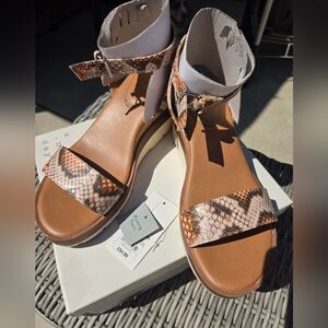 a new day Abigail Heel